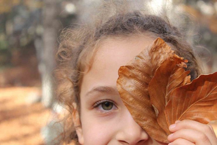 Erzincan’da ormanlık alanlarda renk cümbüşü