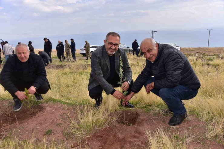 Ahlat’ta çam fidanları toprakla buluştu