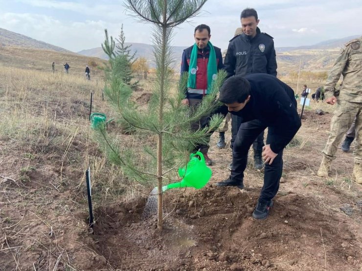 Adaklı’da fidan dikimi yapıldı