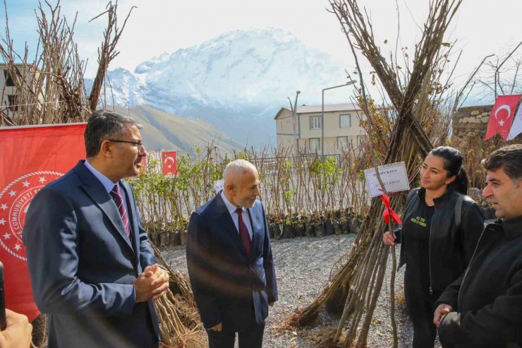 Hakkari’de 31 bin 460 meyve fidanı dağıtıldı