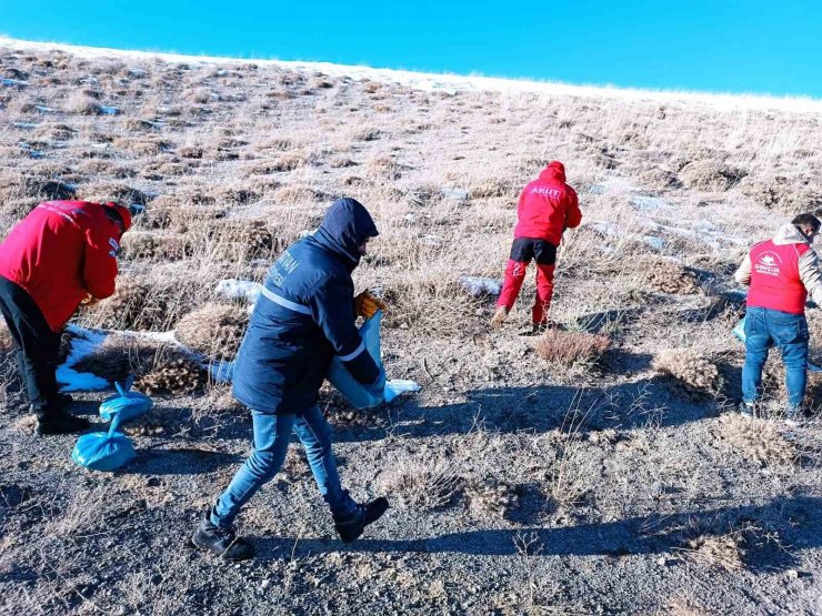 Nemrut Kalderası’ndaki yaban hayvanları için yem bırakıldı