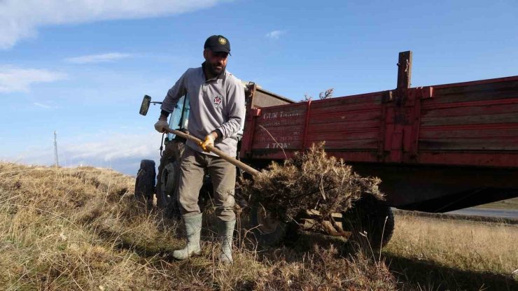 Tatvan’da kışlık yakacak mesaisi