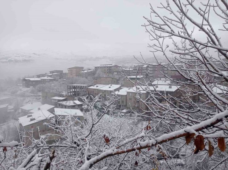 Hakkari’de kar yağışı ve sis