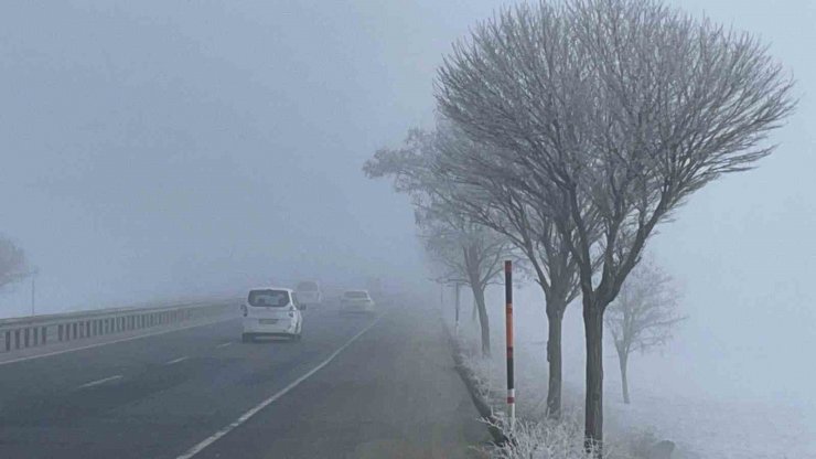 Bitlis’te ağaçlar kırağı tuttu