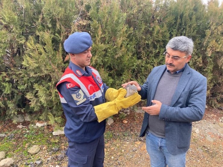 Malatya’da yaralı bulunan Atmaca koruma altına alındı