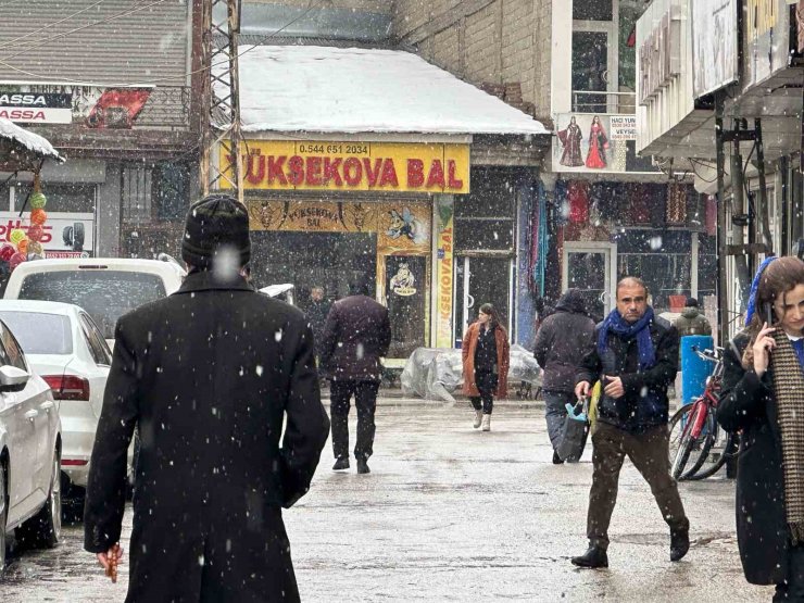 Yüksekova’da kar yağışı