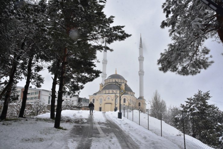 Bitlis’te 34 köy yolu ulaşıma kapandı