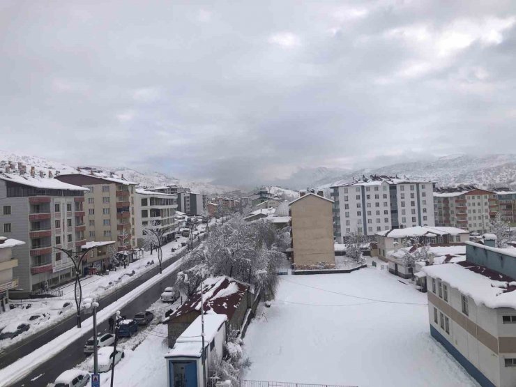 Hizan’da araçlar kara gömüldü