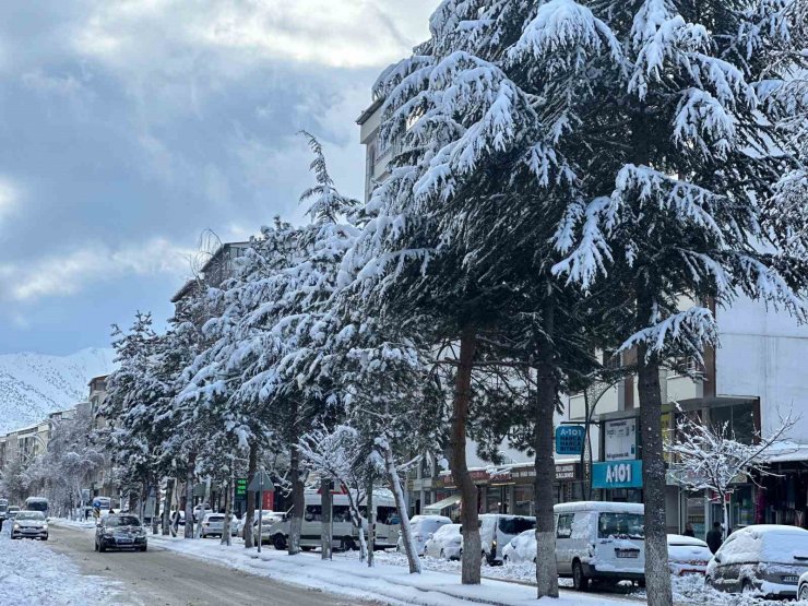 Tatvan’da araçlar kara gömüldü