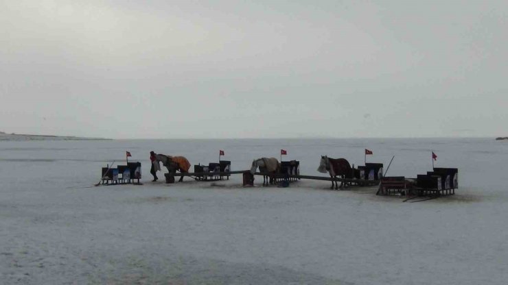 Çıldır’da kızak atlarına battaniyeli koruma