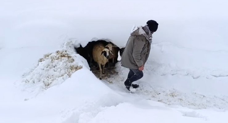 Bahçesaray’da kar etkili oluyor