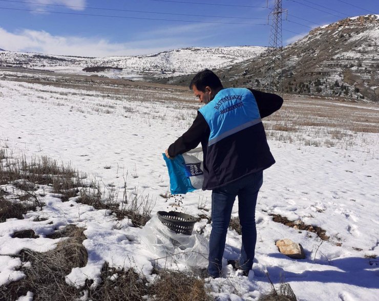 Battalgazi’de sokak hayvanlara yem bırakıldı