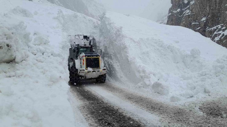 Hakkari’de çığ bölgesindeki çalışmalarda 10 metre yüksekten düşen ekip şefi yaralandı