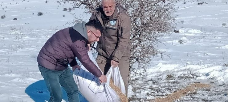 Elazığ’da yaban hayvanları için doğaya yem bırakıldı