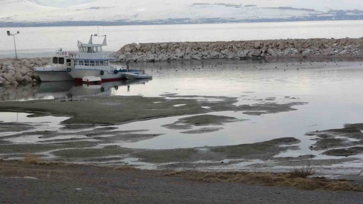 Prof. Dr. Alaeddinoğlu: “Yağışların Van Gölü’ne yansıması geç olacak”