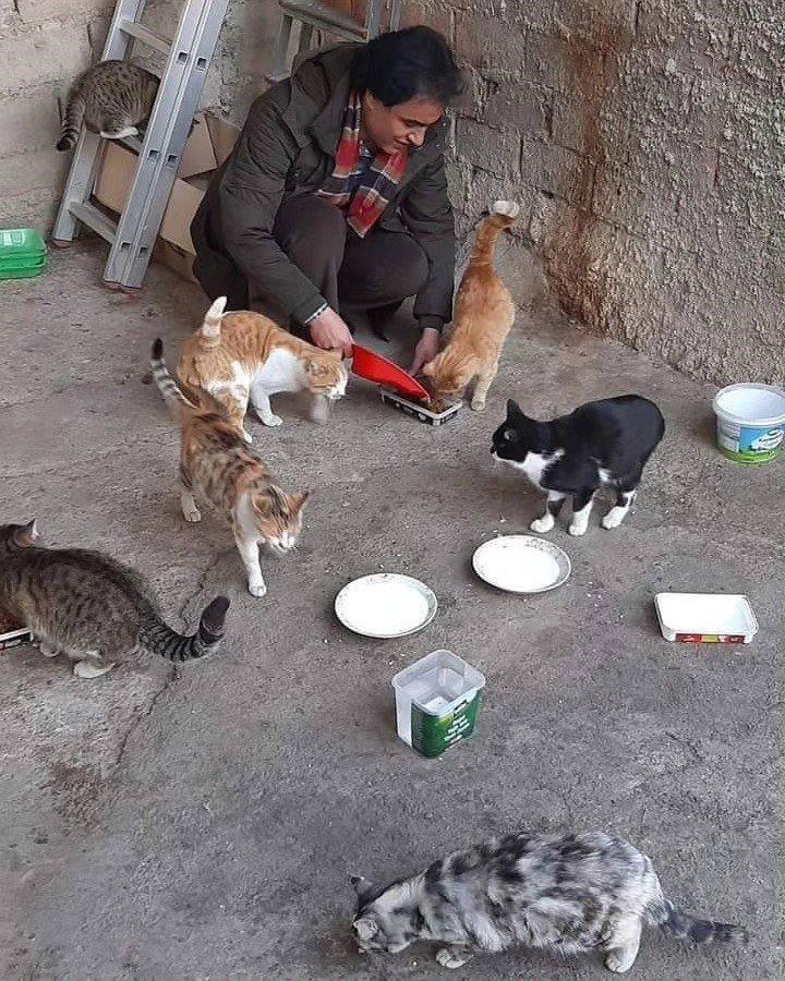 Elazığ’da hayvan sever vatandaş ,sokak hayvanlarına gözü gibi bakıyor