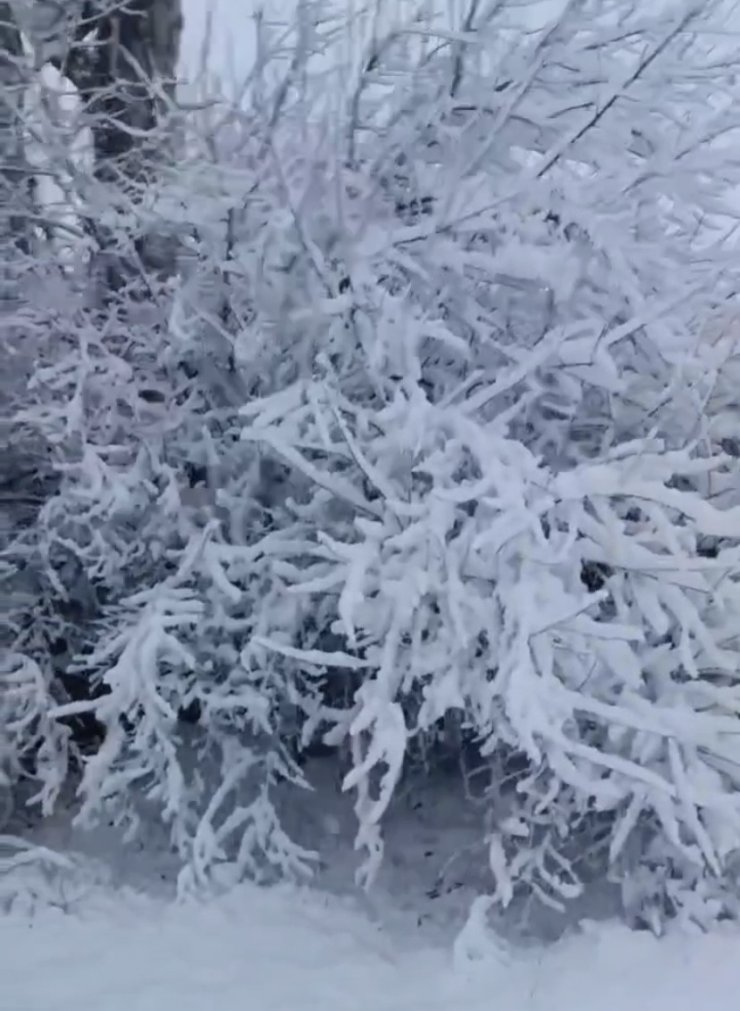 Elazığ Baskil’de kar yağışı etkili oldu