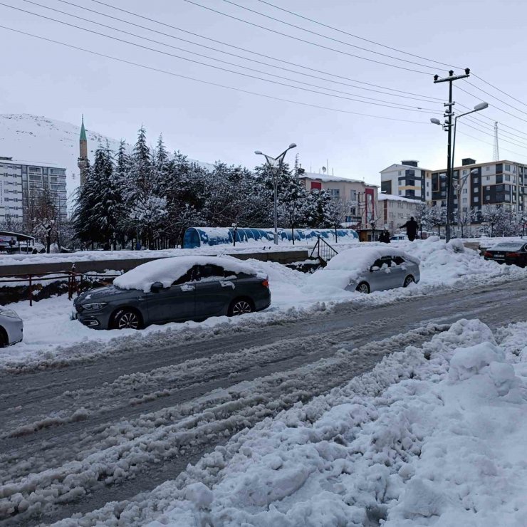 Bitlis’te 103 köy yolu ulaşıma kapandı