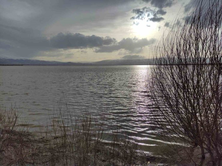 Ardahan’da Kura Nehri taştı, sahilleri aratmayan görüntüler ortaya çıktı