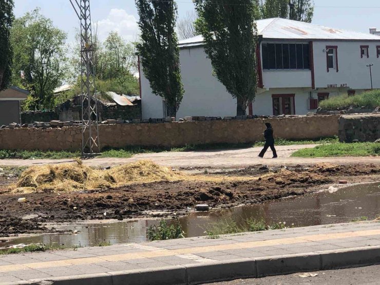 Kars’ta yol kenarına dökülen gübreler insan sağlığını olumsuz etkiliyor