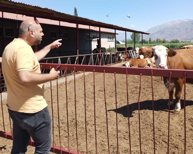 Erzincan’da hayvancılık işletmelerine sağlık taraması