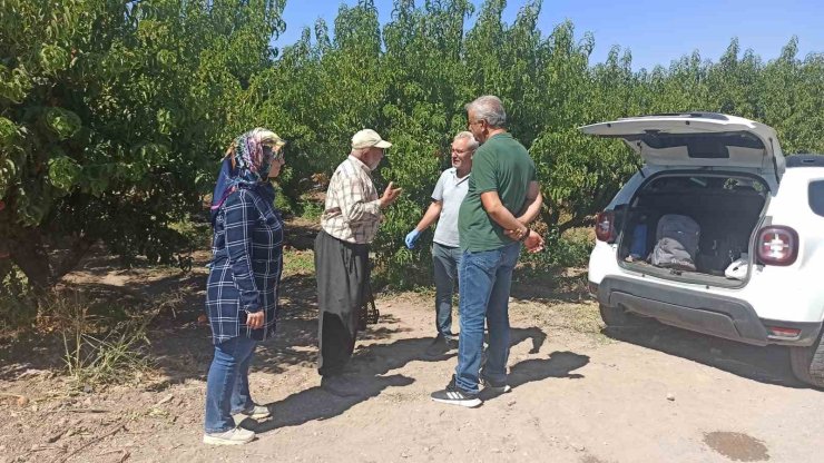 Elazığ’da şeftali bahçelerinde zararlı kontrolleri devam ediyor