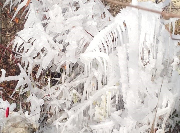 Elazığ’da araçlar ve ağaçlar buz tuttu