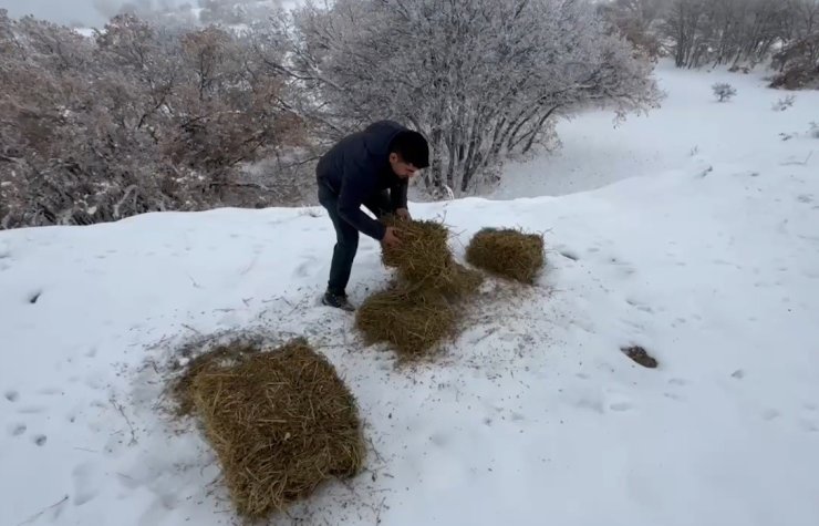 Yaban hayvanları için doğaya yem bırakıldı