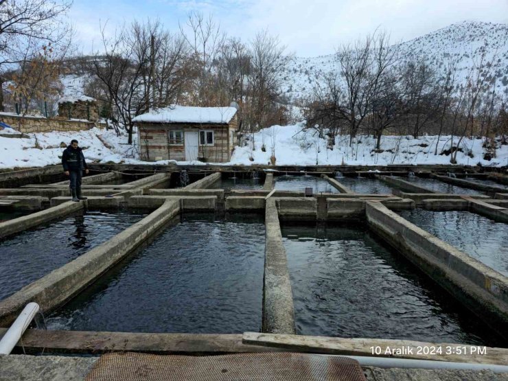 Erzincan’da tesis ve kuluçkahane denetimler sürüyor