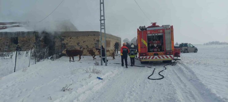 Erzurum’da ahır yangını