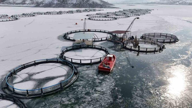 Antarktika değil Erzincan; Belgeselleri aratmayan görüntülerle buz tutan gölde balıkçılık serüveni