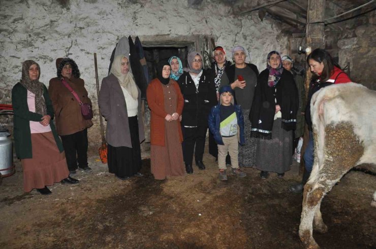 Kars’ta kadınlar sağlıklı sağım tekniklerini öğreniyor