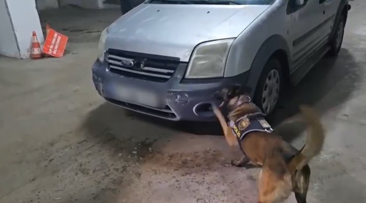 Kars’ta uyuşturucu narkotik köpeği Şila’ya takıldı