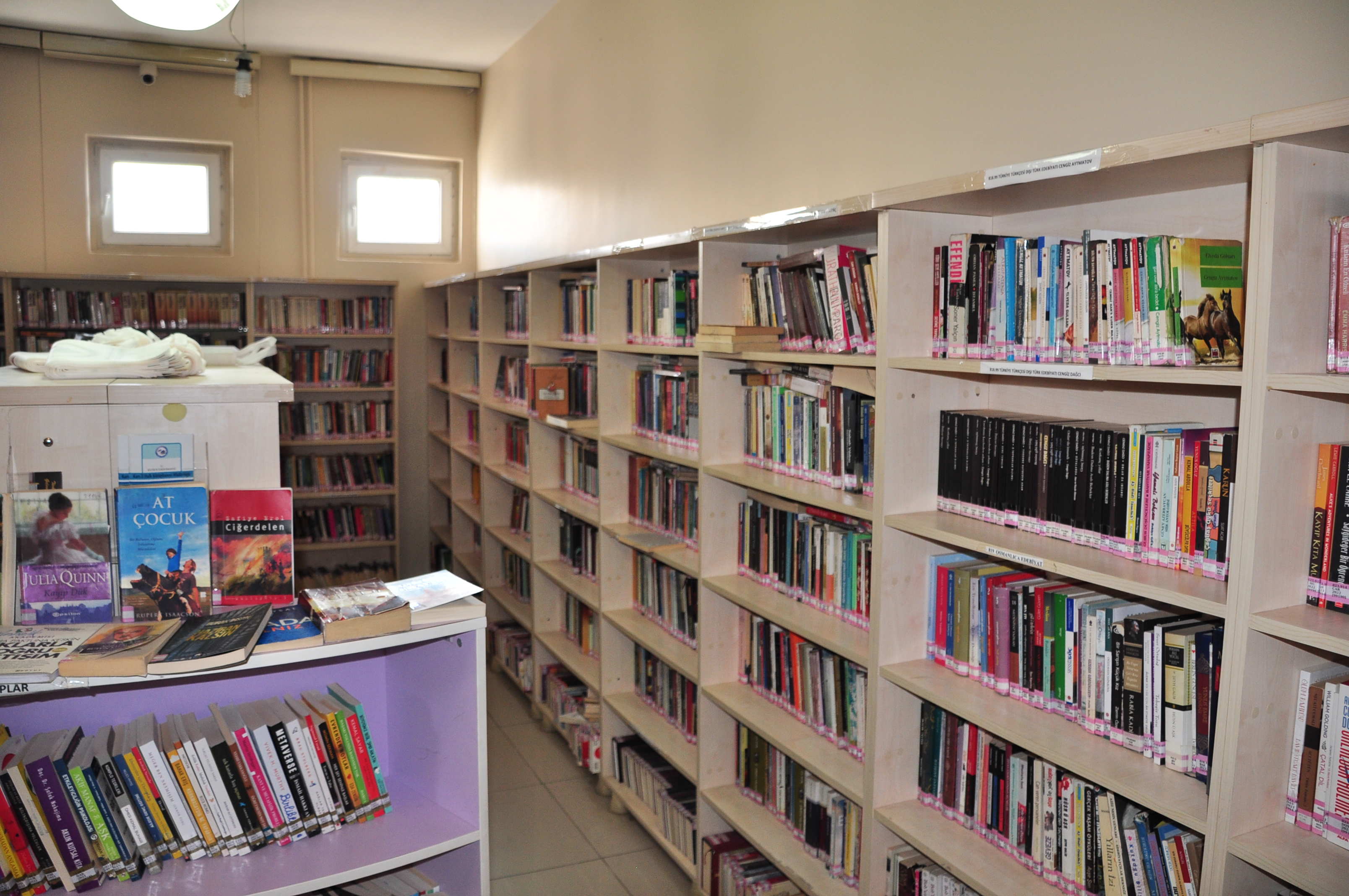dsc-0783.jpg