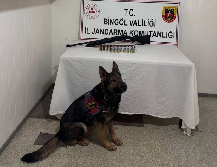 Bingöl’de 8 şüpheli yakalandı