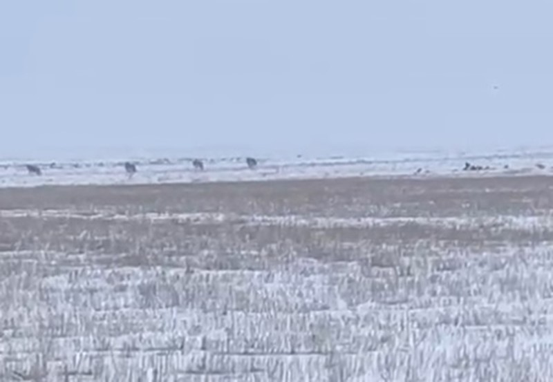 aw394359-01.jpg