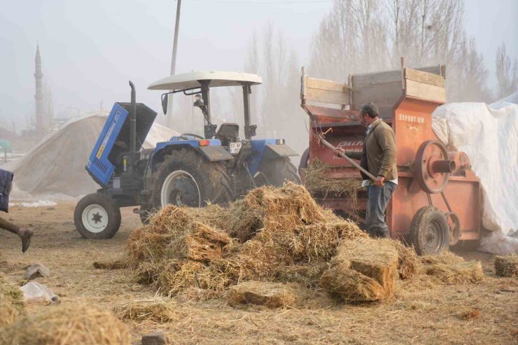Muş’ta kış ortasında patoz mesaisi