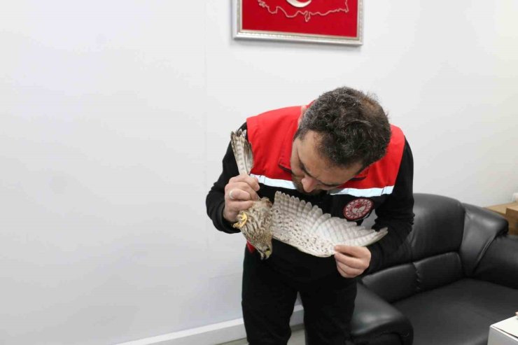 Erzincan’da ekipler, kerkenez için seferber oldu