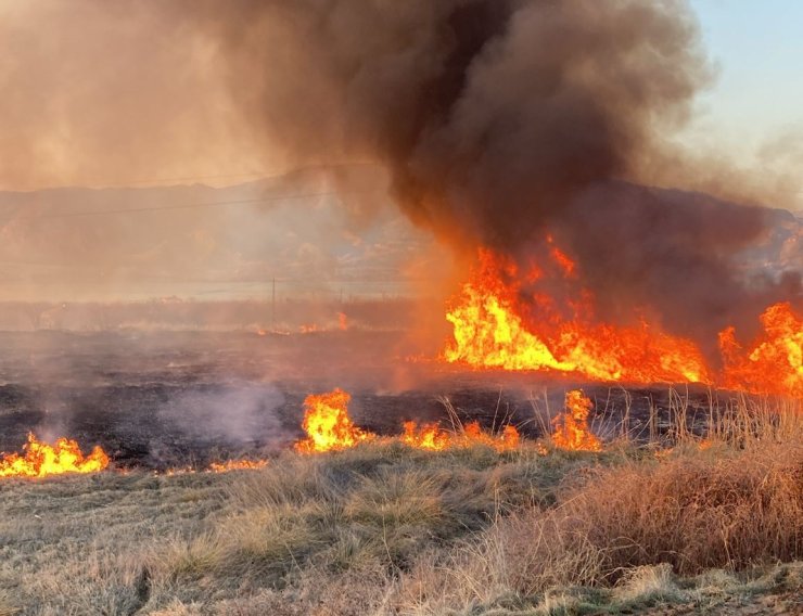 Malatya’da onlarca dönümlük alanda korkutan yangın