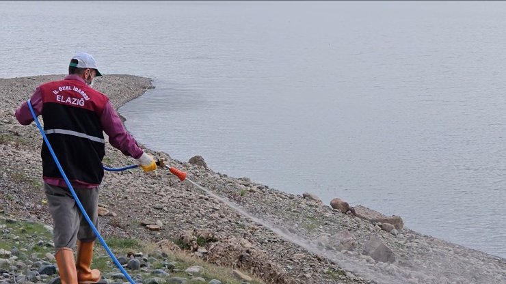 Elazığ’da larva ilaçlama çalışmaları sürüyor