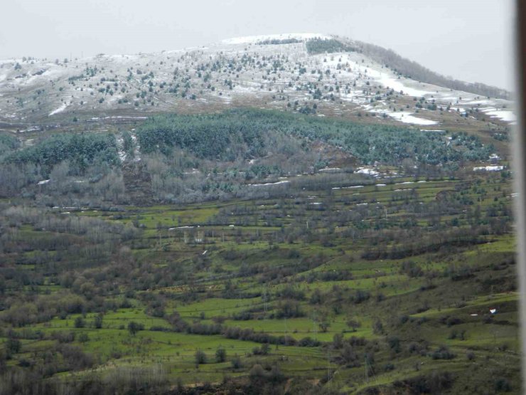 Posof’ta bahar ile gelen kar