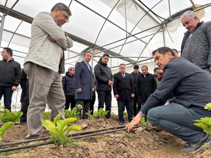 Erzincan heyeti Erbaa Kesme Çiçek Üretim Bölgesinde incelemede bulundu
