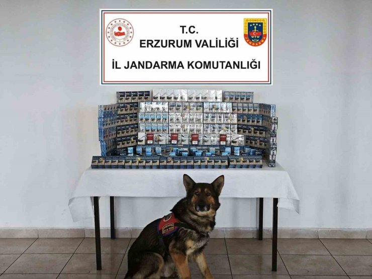 Jandarmadan kaçakçılara geçit yok