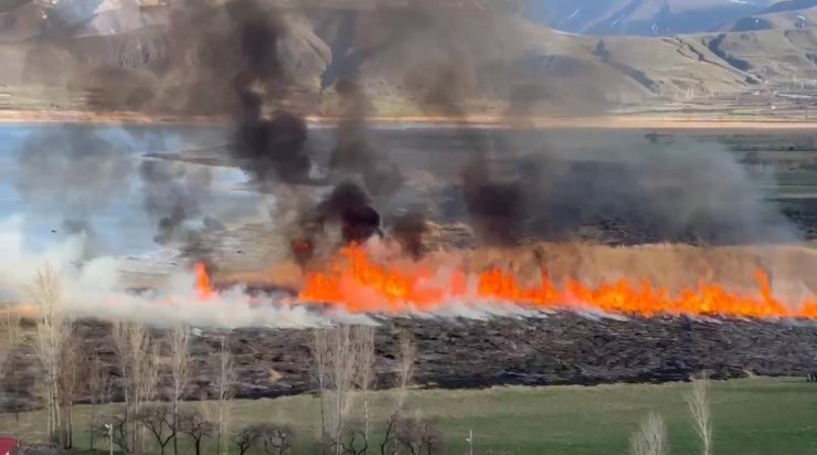 Van’da sazlıklar tehlikede