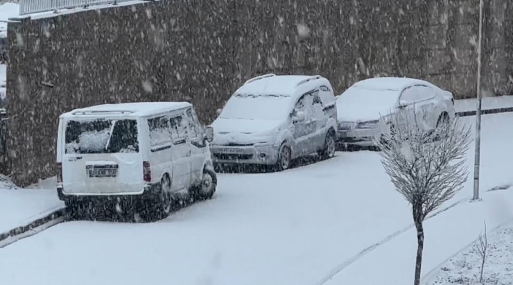 Yüksekova’da nisan ayında lapa lapa kar yağışı