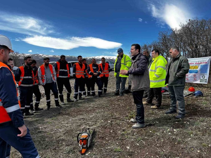 Ağaç budama çalışmaları güvenlik ve süreklilik için özenle yürütülüyor