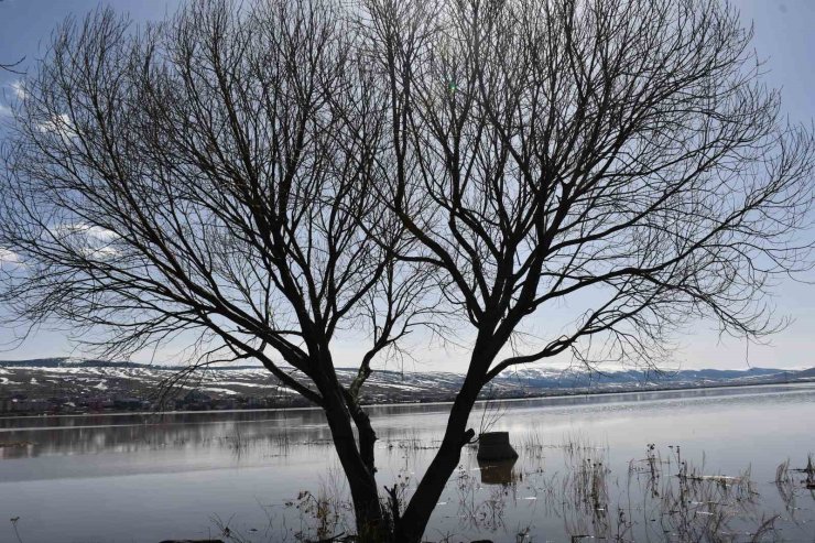 Ardahan ovası nehrin taşmasıyla yeniden sular altında kaldı