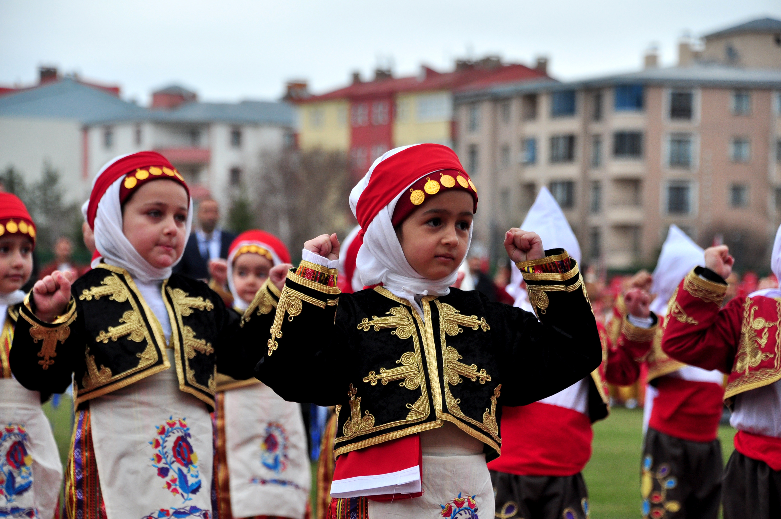 dsc-0401.jpg