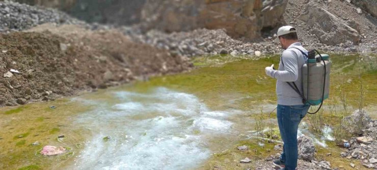 Hakkari’de yaz öncesi larva seferberliği