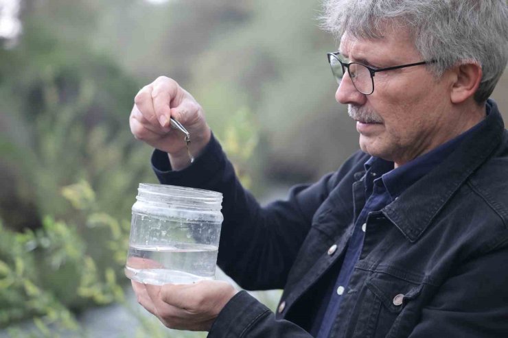 Fırat Üniversitesinden bilim dünyasına katkı: Elazığ’da yeni sülük türleri keşfedildi